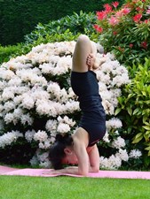 Padma Pincha Mayurasana